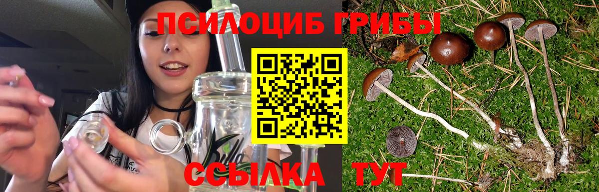Псилоцибиновые грибы мухоморы Асино