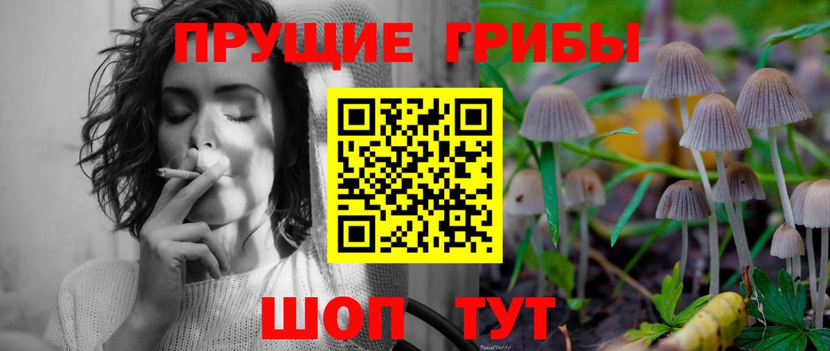 Галлюциногенные грибы Psilocybe  сколько стоит  Асино  Вход с VPN 